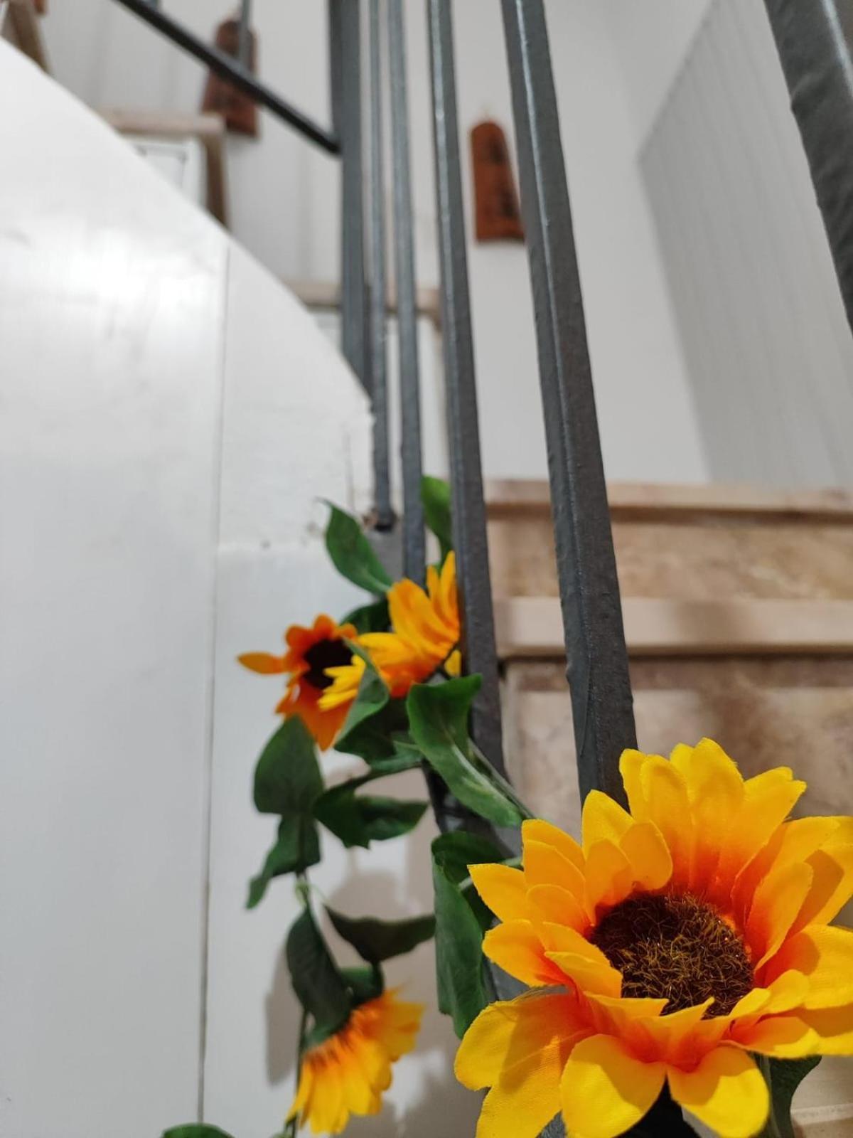 Casa Vacanze Con Giardino I Girasoli - Cin It 09006 - 9 C 2000 R4042- Сорсо Экстерьер фото